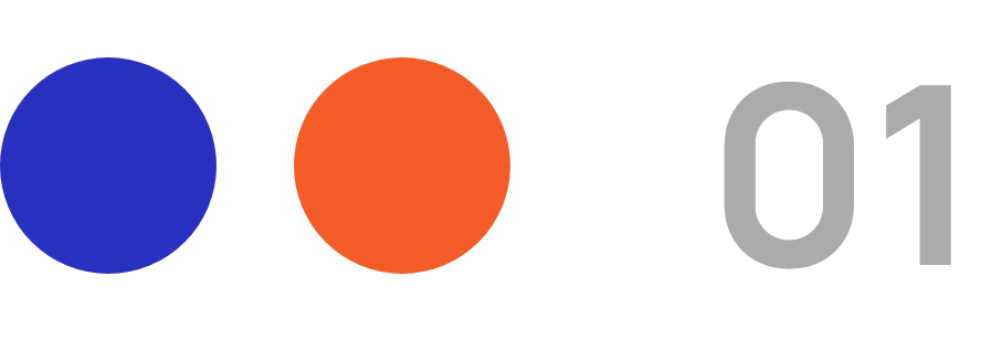 Hồ sơ Mentor